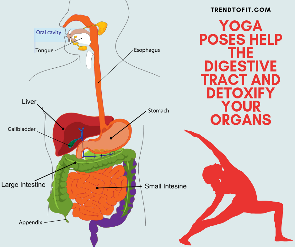 yoga to boost metabolism