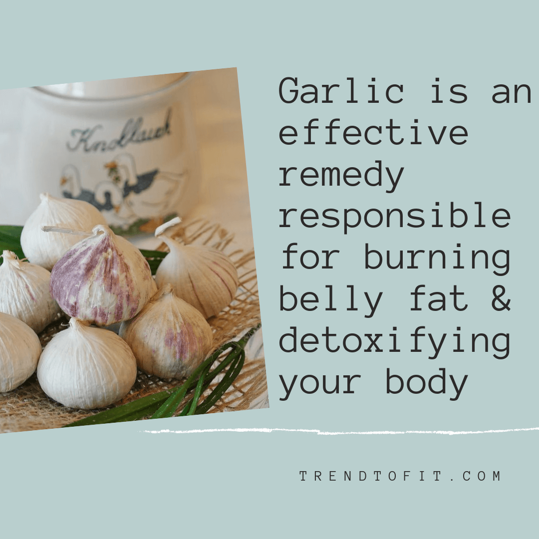 eating garlic increases metabolism
