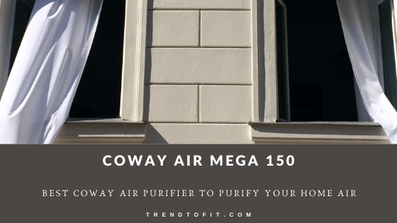 Coway Professional Air Purifier review