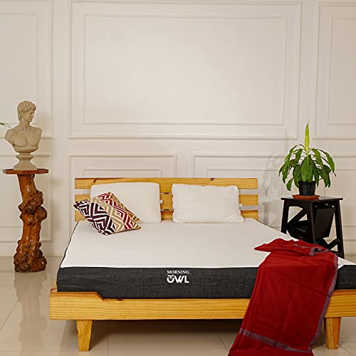 Morning Owl 6 inch Latex Mattress Review